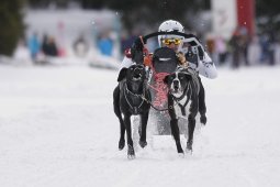 Lenzerheide 2013